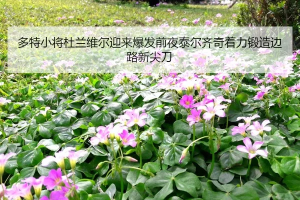 多特小将杜兰维尔迎来爆发前夜泰尔齐奇着力锻造边路新尖刀